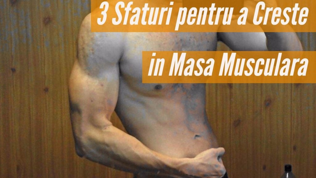 cum pot sa cresc in masa musculara repede