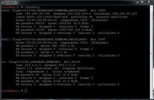 cum-vad-interfetele-de-retea-din-ubuntu-linux-ramon-nastase