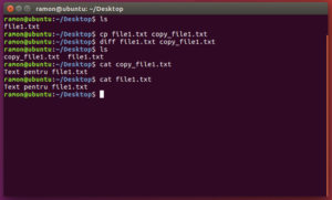 cum-copiez-un-fisier-din-terminal-in-linux-1