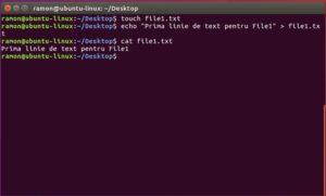 cum-creez-un-fisier-in-ubuntu-linux-ramon-nastase