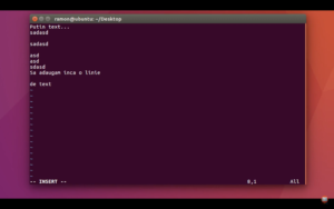 utilitare in linux din terminal cu editare de text prin vim a unui fisier