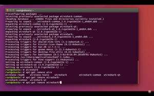 utilitare in linux stergerea unui program din terminal