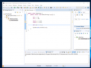 variabile in programare java