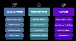 Ce JOB sa alegi in IT in functie de dificultate